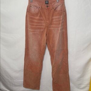 NWOT BDG Urban Outfitters corduroy soft velour salmon pink high rise pants sz 28